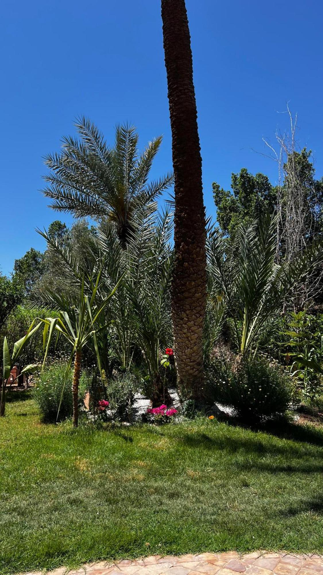Tres Joli Appart A La Palmeraie Coup De Coeur Marrakesh Exterior photo